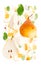 Orange Pear Slice and Leaf Abstract