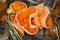 Orange peel fungus, Aleuria aurantia
