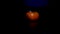 Orange persimmon fruit in the dark