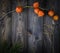 The orange physalis on a wood