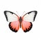 Orange Pink Butterfly With Black Wings - Art Of Burma Inspired