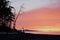 Orange and pink sunset with tree silhouettes.  Rathtrevor Provincial Park