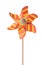 Orange pinwheel