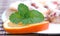 Orange, Pizza with mint leaves