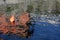 Orange plastic buoy and houses reflecting on water