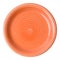Orange plate (isolated, with clipping path)