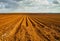 Orange plowed field in perspective in cloudy day