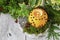 Orange pomander ball with candle on wooden table