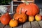 Orange pumkins in different sizes as a closeup