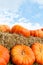 Orange pumkins in front of blue sky