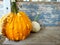 Orange pumpkin gourd with warts and small white gourd sitting on porch in the fall.