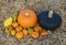 Orange pumpkin and green gourd with unusual warted ornamental gourds