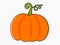 Orange pumpkin line cartoon icon