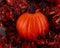 Orange pumpkin nestled in tinsel and screaming pumpkins in black.Concept for Halloween