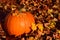 An orange pumpkin sits amidst autumn-colored leaves that have fallen from the trees in autumn