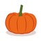 Orange pumpkin vegetable autumn graphic