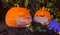 Orange pumpkin wears a protective medical mask, the autumn second wave of coronavirus infection, the concept of Halloween and