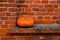 Orange pumpkin on a windowsill of a brick building, Lodz, Poland