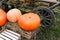 Orange pumpkin on a wooden box near the cart. Vegetables in the open air close-up lie on the hay. Growing pumpkins in the