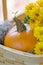 Orange pumpkin and yellow mums in basket