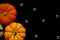 orange pumpking on black background. Autumn, Halloween and Thanksgiving.