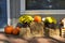 Orange pumpkins on display