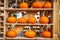 Orange pumpkins display on the farm