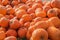 Orange pumpkins on display at the farmers market in Germany