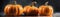 Orange Pumpkins With Droplets Standing On A White Matte Fumes Background Panoramic Banner. Generative AI