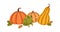 Orange pumpkins, fall harvest and cute funny frog eating insect in October. Autumn vegetables, squashes and amusing