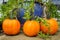 Orange Pumpkins Front Steps