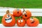 Orange pumpkins with funny drawn ghost faces are on the bench as decoration for outdoor autumn holiday in the park. Funny