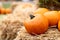 Orange pumpkins for Halloween are lying on bales of straw