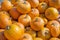 Orange pumpkins pile. Fall harvest. Thanksgiving day concept