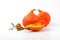 Orange pumpkins wtih walnuts, sage and hibiscus