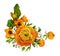 Orange ranunculuses and ornithogalum flowers in a corner floral arrangement isolated on white