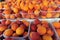 Orange and red apricots - market.