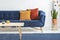 Orange and red cushions on a fancy, navy blue sofa and a basic, wooden coffee table on a blue rug in a white living room interior.