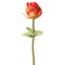 Orange red Rose. EPS 10