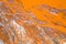 Orange riverbed closeup