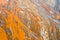 Orange riverbed texture background