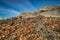 Orange rocks dot the landscape in the badlands. Drumheller Alberta,Canada