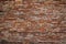 Orange rough brick wall texture front view