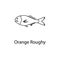 orange roughy icon. Element of marine life for mobile concept and web apps. Thin line orange roughy icon can be used for web and m