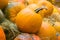 Orange round pumpkin close-up