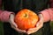 Orange round pumpkin in women`s hands on a dark green background. Autumn harvest festival, farming, gardening, thanksgiving, Hallo