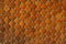 Orange round tile pattern