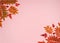 Orange Rowan leaves and maple leaves, hawthorn berries on a pink background.