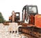 orange rusty, worn out bulldozer excavators on site doing construction works
