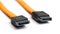 Orange Sata Cable on White background